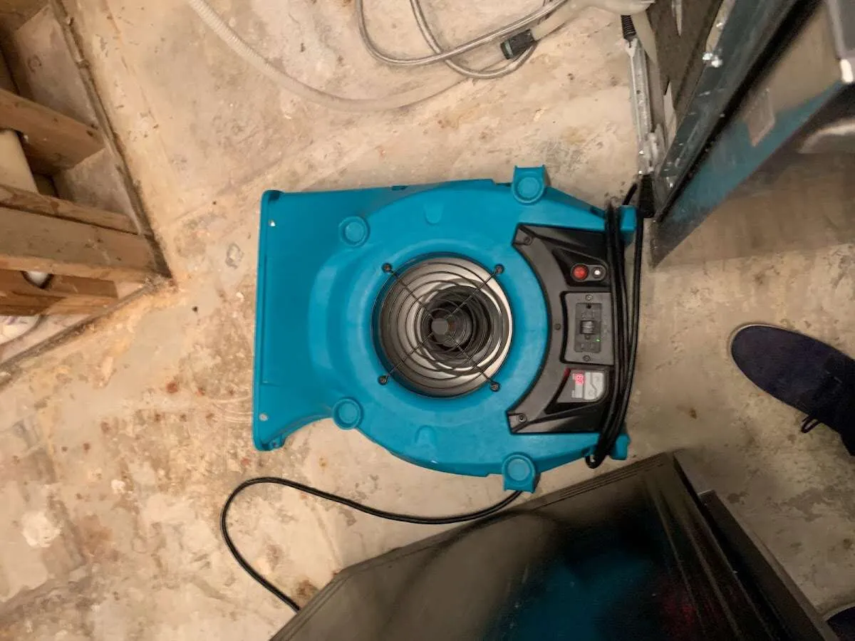 Air mover drying equipment for Mold Remediation & Removal in Alsip